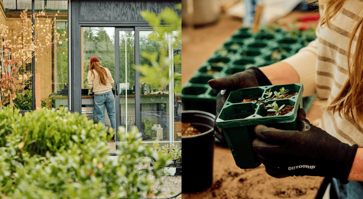 Christina Stembel holding a potted plant inside the Farmquarters greenhouse