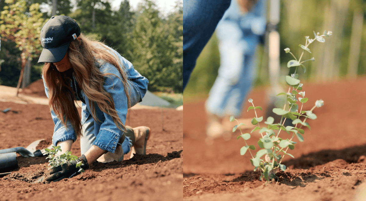 Christina Stembel planting in a prepared garden bed at the Farmquarters
