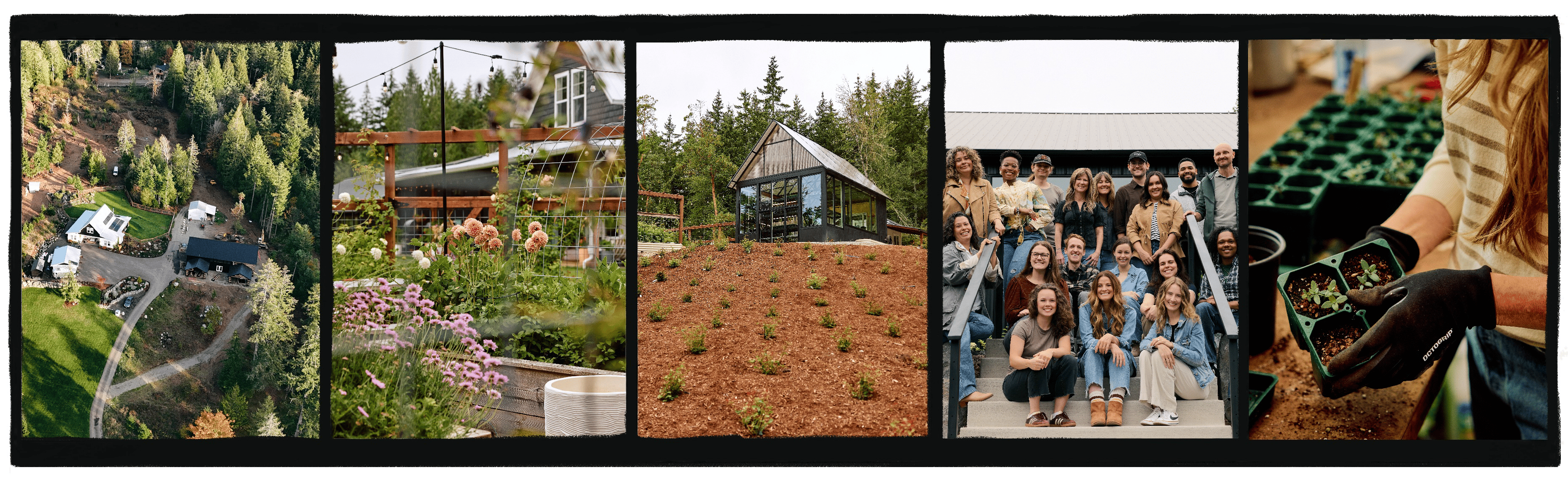 Farmquarters aerial photo captured by Drone Videographer Ethan Thomas -  view of the farm in evergreen forest - flower garden and greenhouse - cabin by a tilled field - the Farmgirl Flowers team - seedling trays.png