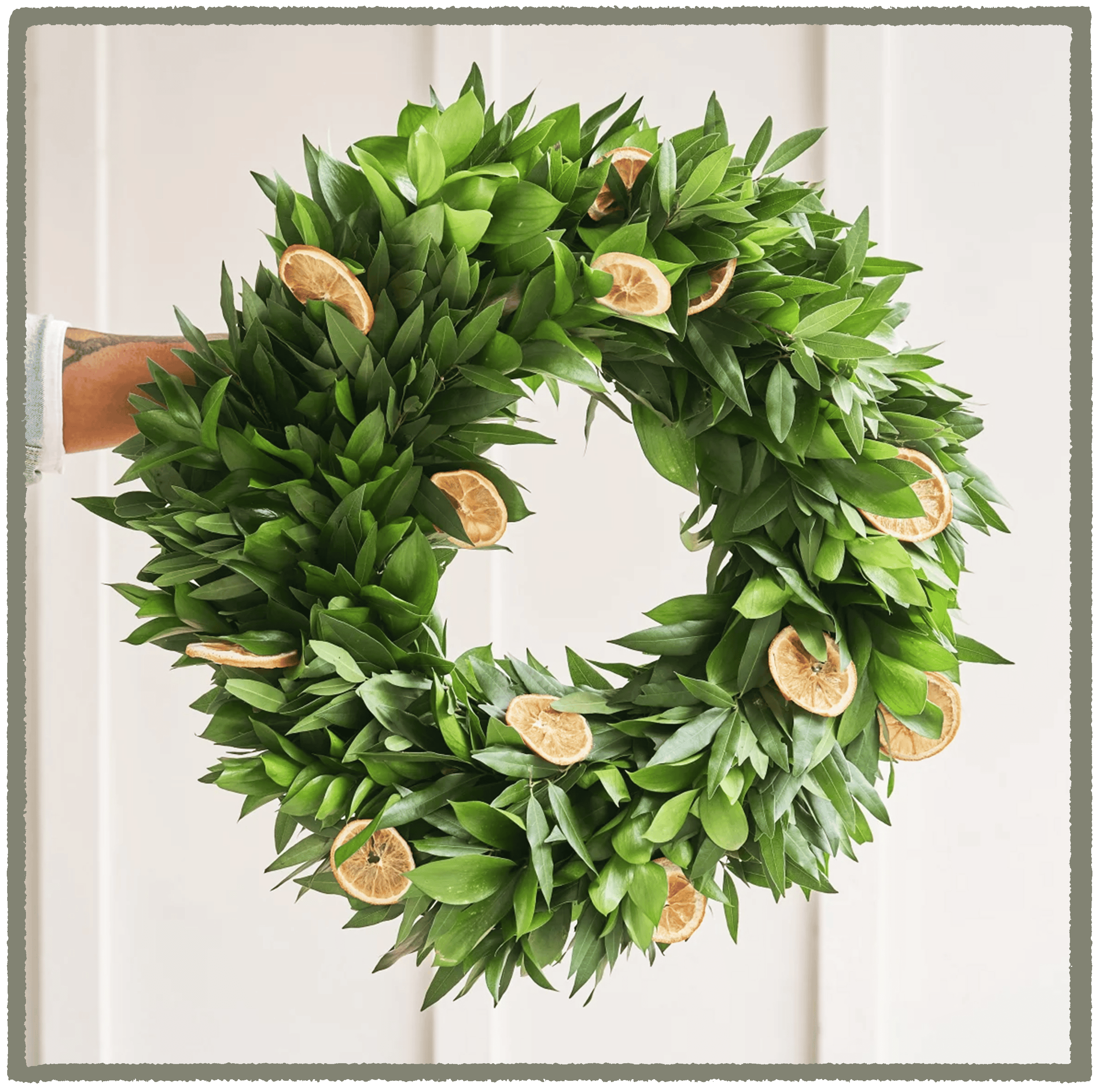 Green leafy wreath with dried orange slices held against a white wall.png