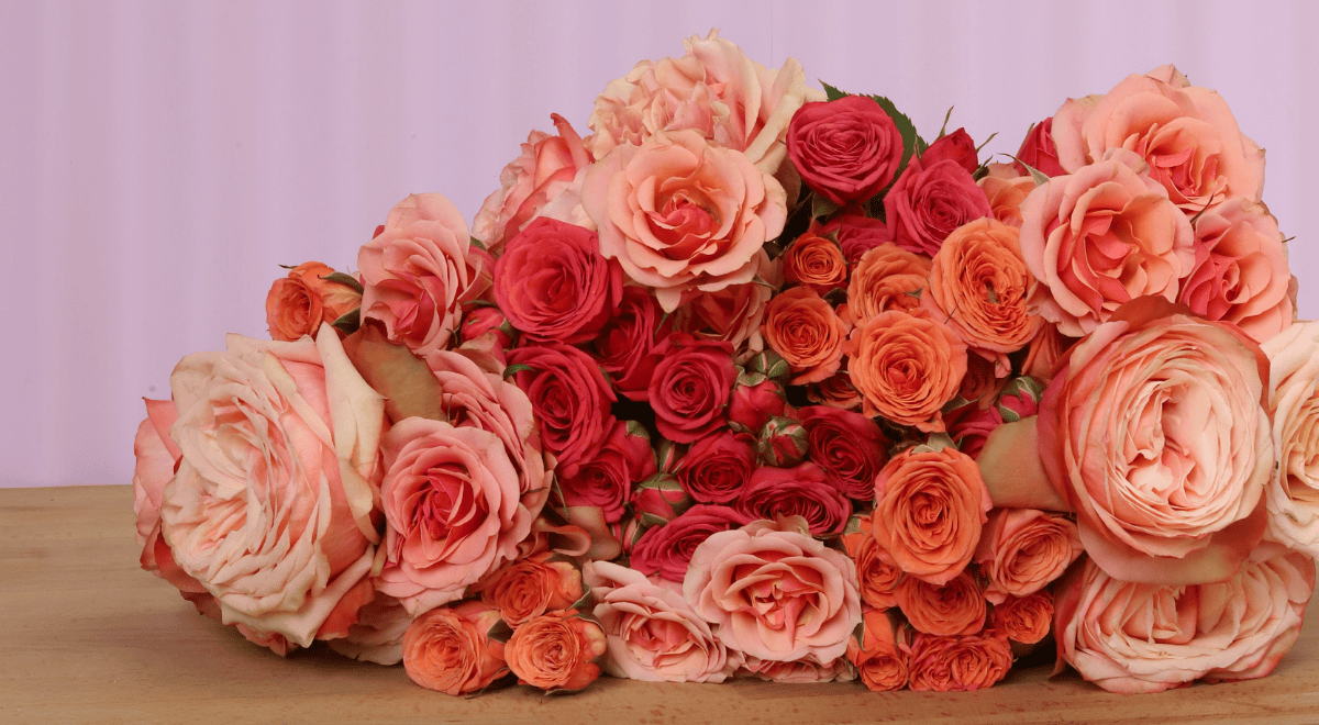 Rose Color Meanings, Decoded (Well, Our Version Anyway)